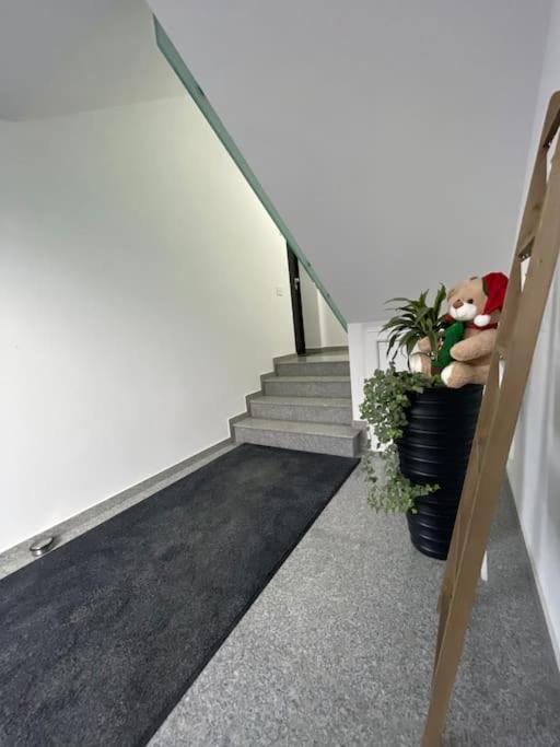 Apartament Timisoara 6 Zewnętrze zdjęcie